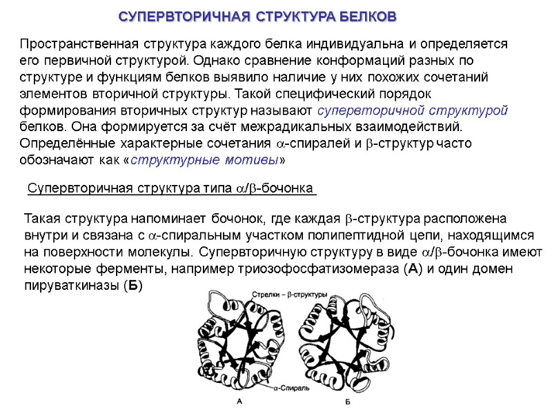 СУПЕРВТОРИЧНАЯ СТРУКТУРА БЕЛКОВ  Пространственная структура каждого белка индивидуальна и определяется его первичной структурой.